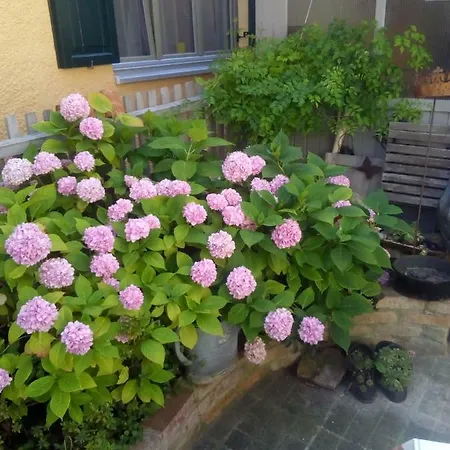 Feriehus Omas Schmuckkaestle *