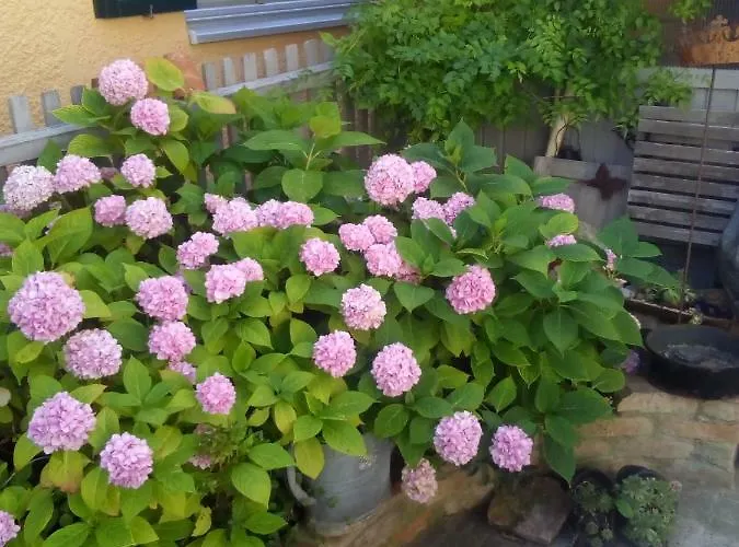 Σπίτι διακοπών Omas Schmuckkaestle *